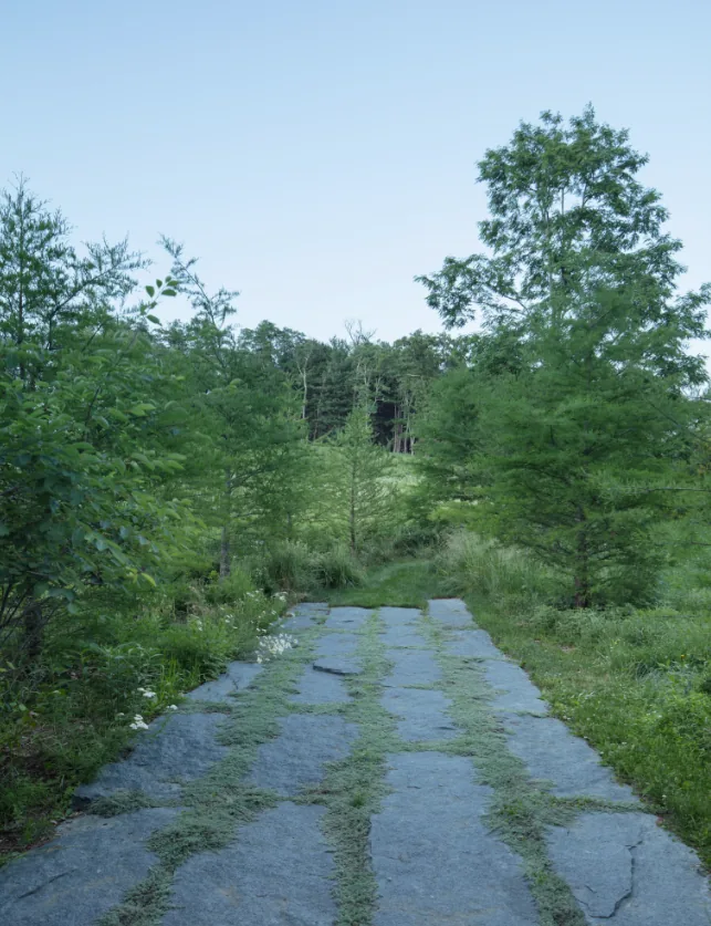 Stone walkway amidst greenery with tall trees and wild grasses in Hudson Valley House II landscape.