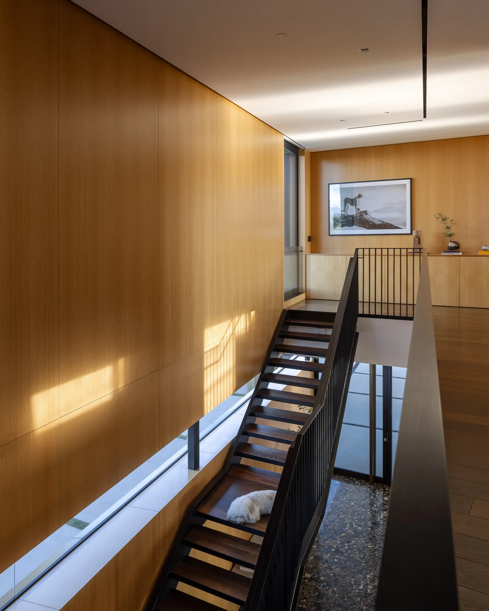 Modern interior stair with black metal railing and wood paneling illuminated by natural light from a horizontal window.