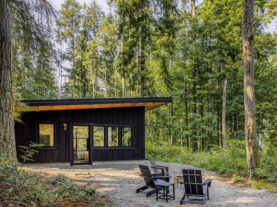 Modern black cabin with large windows and a flat roof surrounded by dense forest trees.