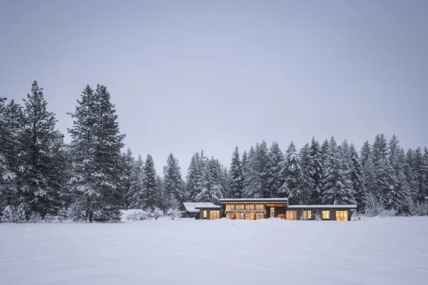 Single-story modern house surrounded by snow-covered field and tall pine trees under a clear sky.