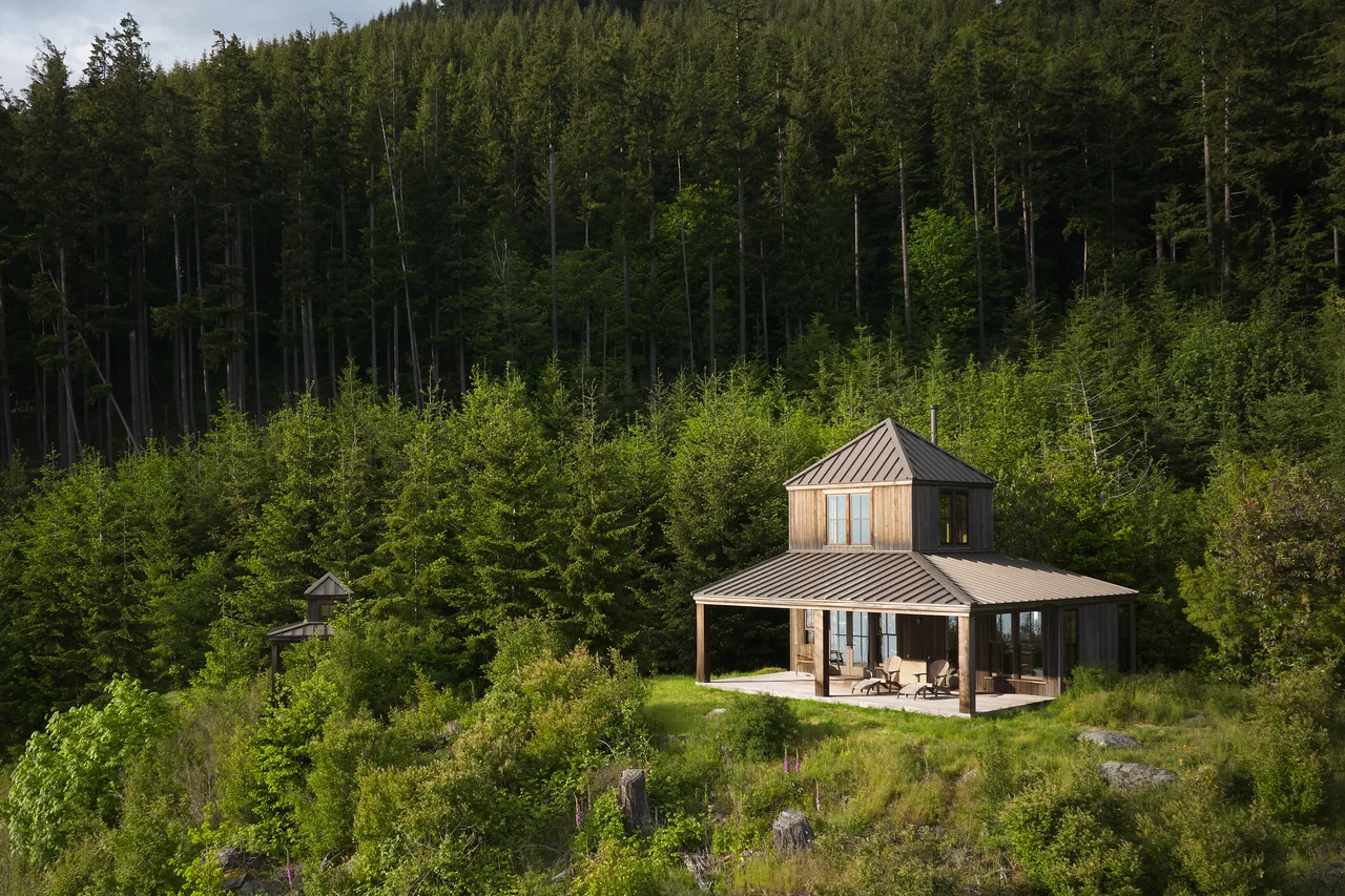 A small cabin with a metal roof and wood siding sits on a grassy hill surrounded by dense evergreen forest.