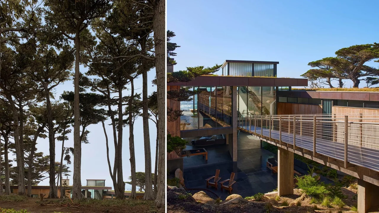 Modern house with a green roof and cantilevered walkway, framed by tall trees beside a waterfront.