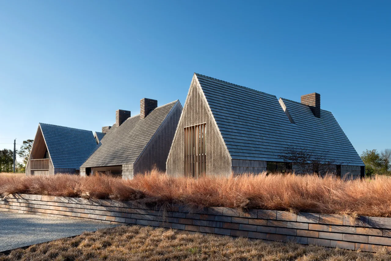 Exterior view of a modern house with steep gable roofs and wood cladding surrounded by dry ornamental grasses.
