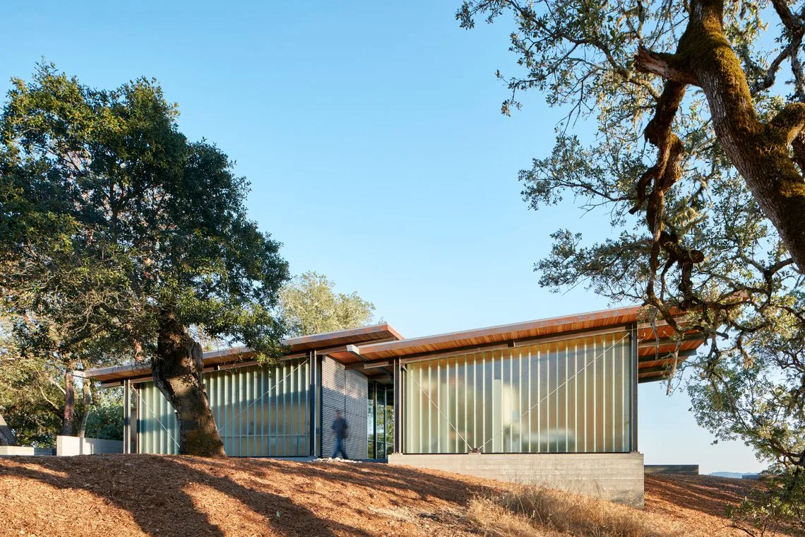 Exterior of a modern single-story building with vertical translucent panels and wood eaves among large trees.