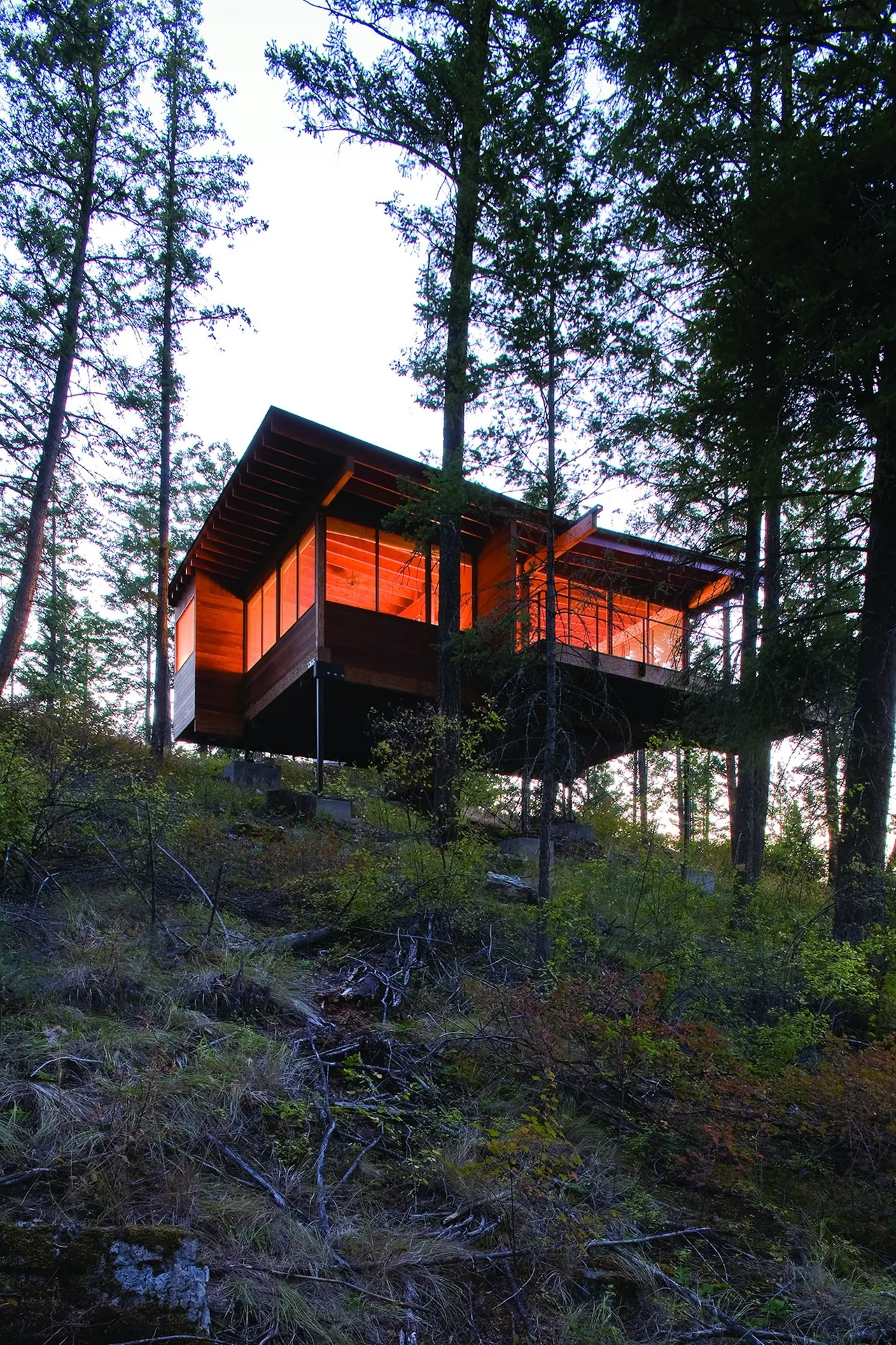Elevated cabin with large windows glowing with warm interior light in a forested hillside at dusk.