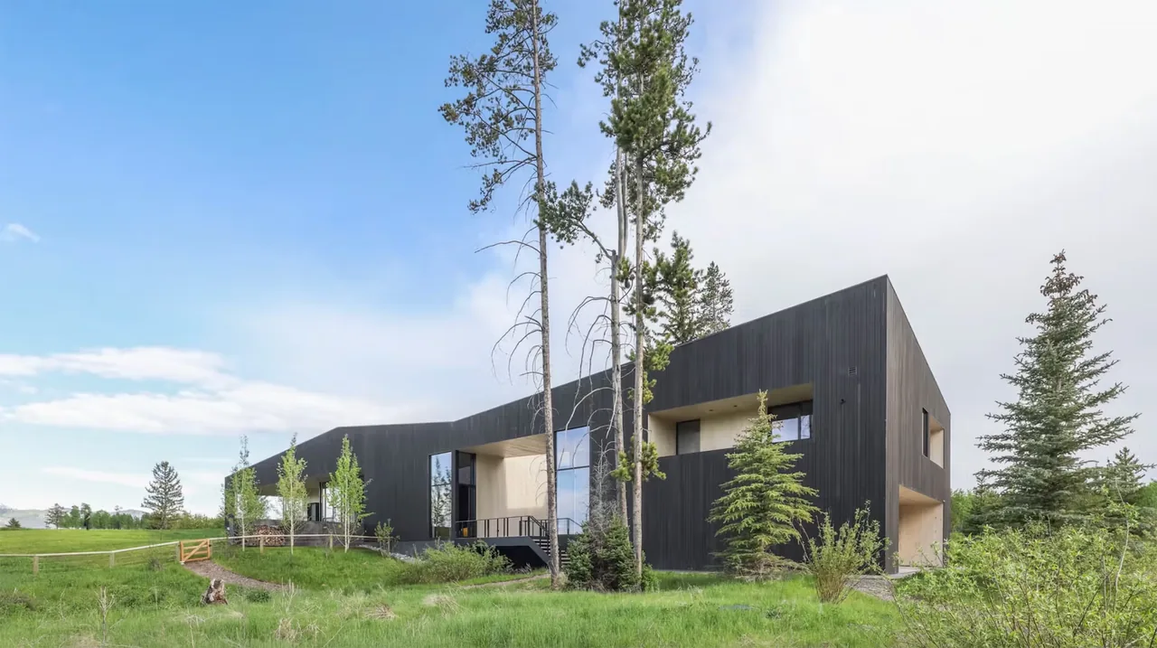 Modern black metal-clad house with large windows surrounded by green grass and trees under a partly cloudy sky.