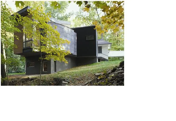 Exterior view of a modern house on a sloping wooded site with contrasting black and gray siding materials.