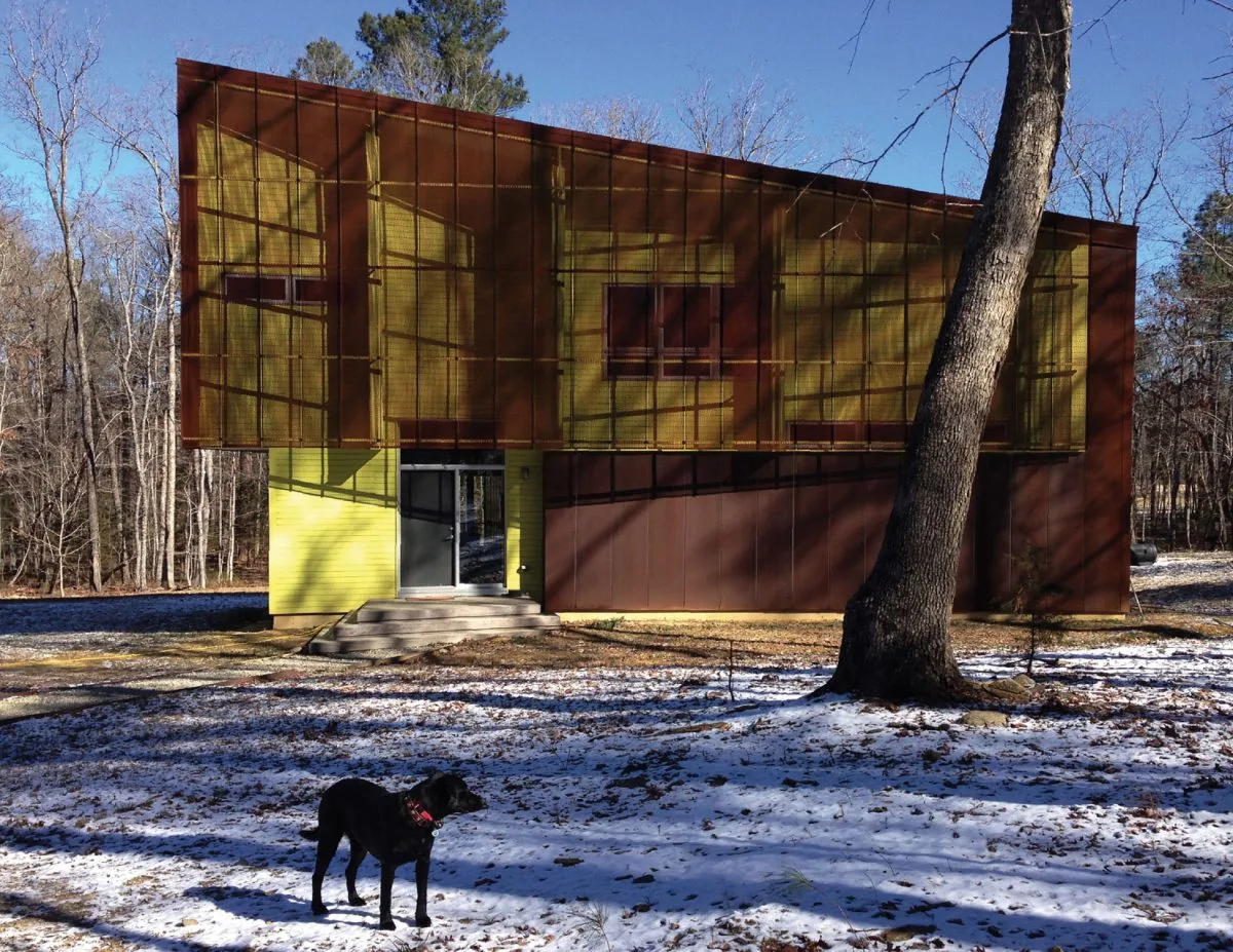 A modern house with a sloped roof and layered rust-colored and yellow exterior walls is surrounded by a snowy wooded area with a black dog.