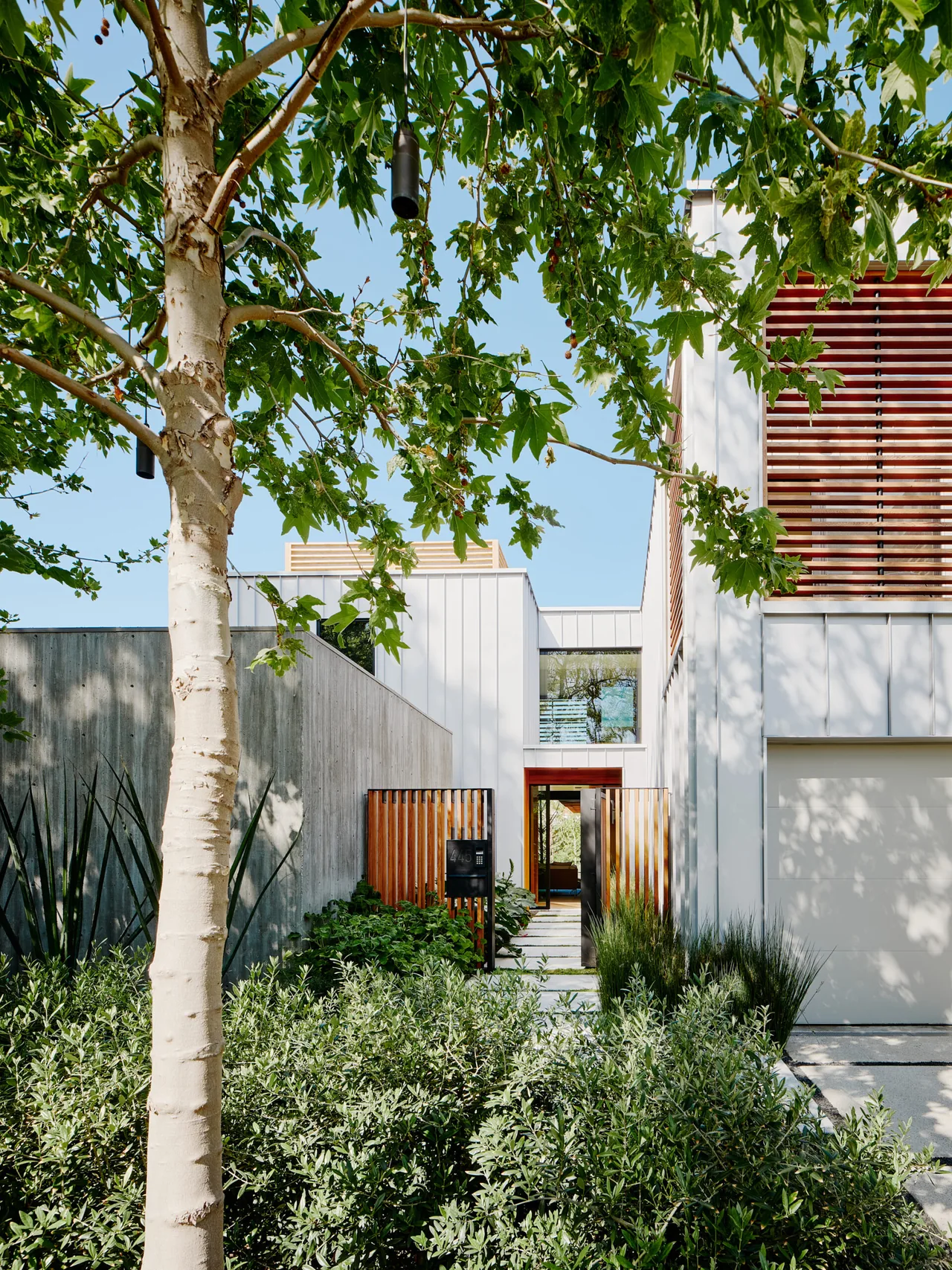 Modern white residence exterior with wood slat fencing and trees in foreground under clear blue sky.