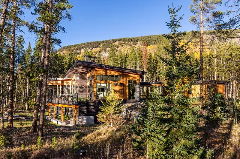 Modern house with a flat roof nestled in a forest with large windows and wooden siding.