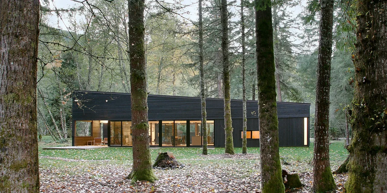 Single-story black wood-sided house with large glass windows in a forested area with leaf-covered ground.