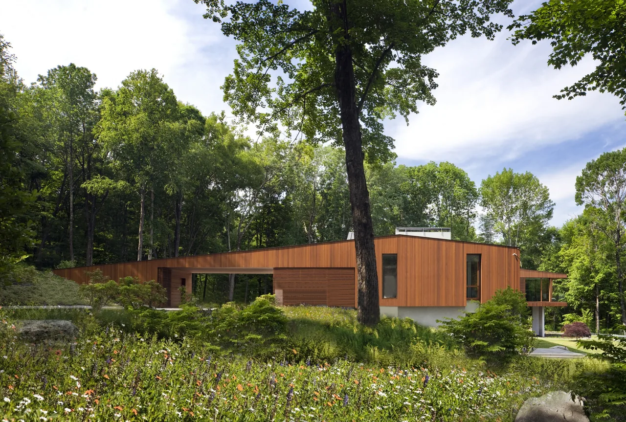 Modern house with horizontal wood siding set in a green wooded landscape under a partly cloudy sky.