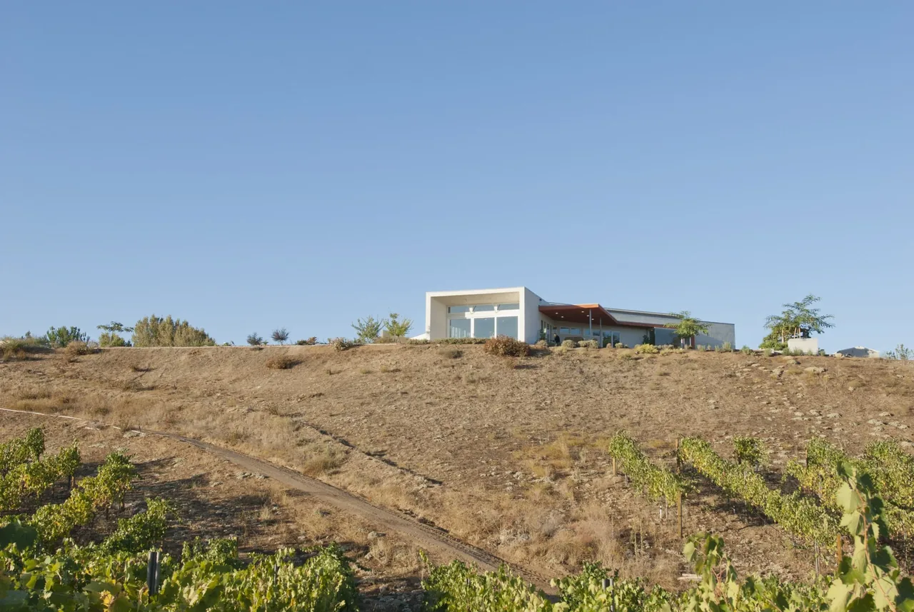 Modern house with white stucco exterior and large windows on a dry hillside under a clear blue sky.