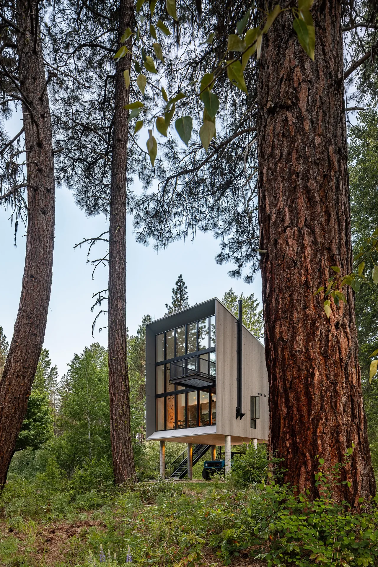 A modern cabin elevated on stilts surrounded by tall pine trees in a forested area.