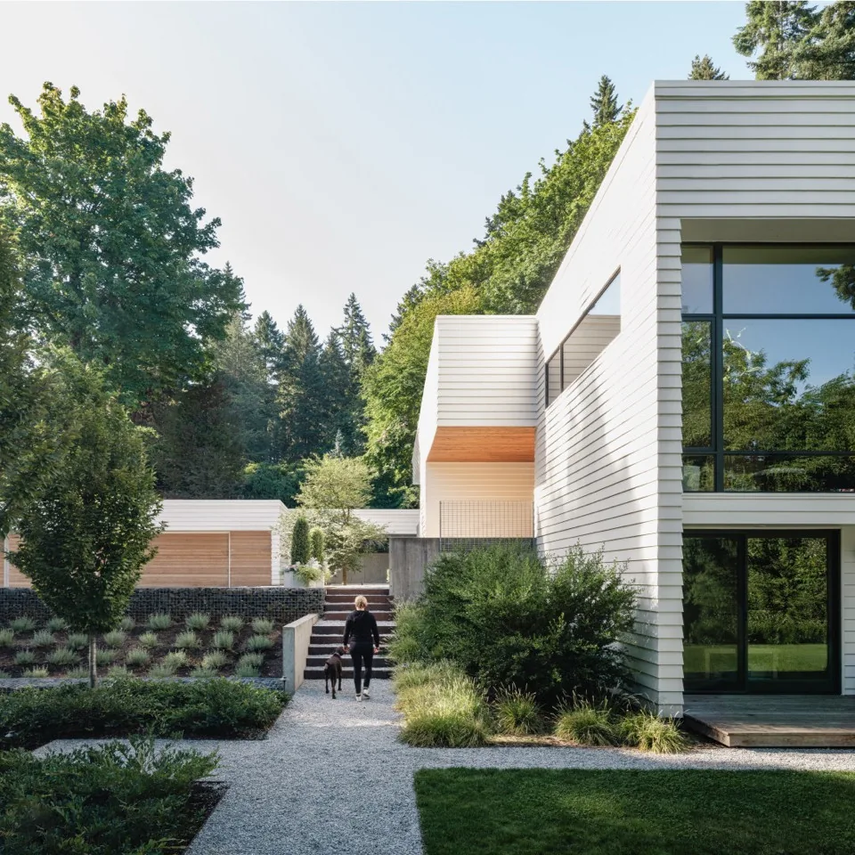 Modern white two-story house with large black-framed windows and a person walking a dog on the gravel path surrounded by greenery.