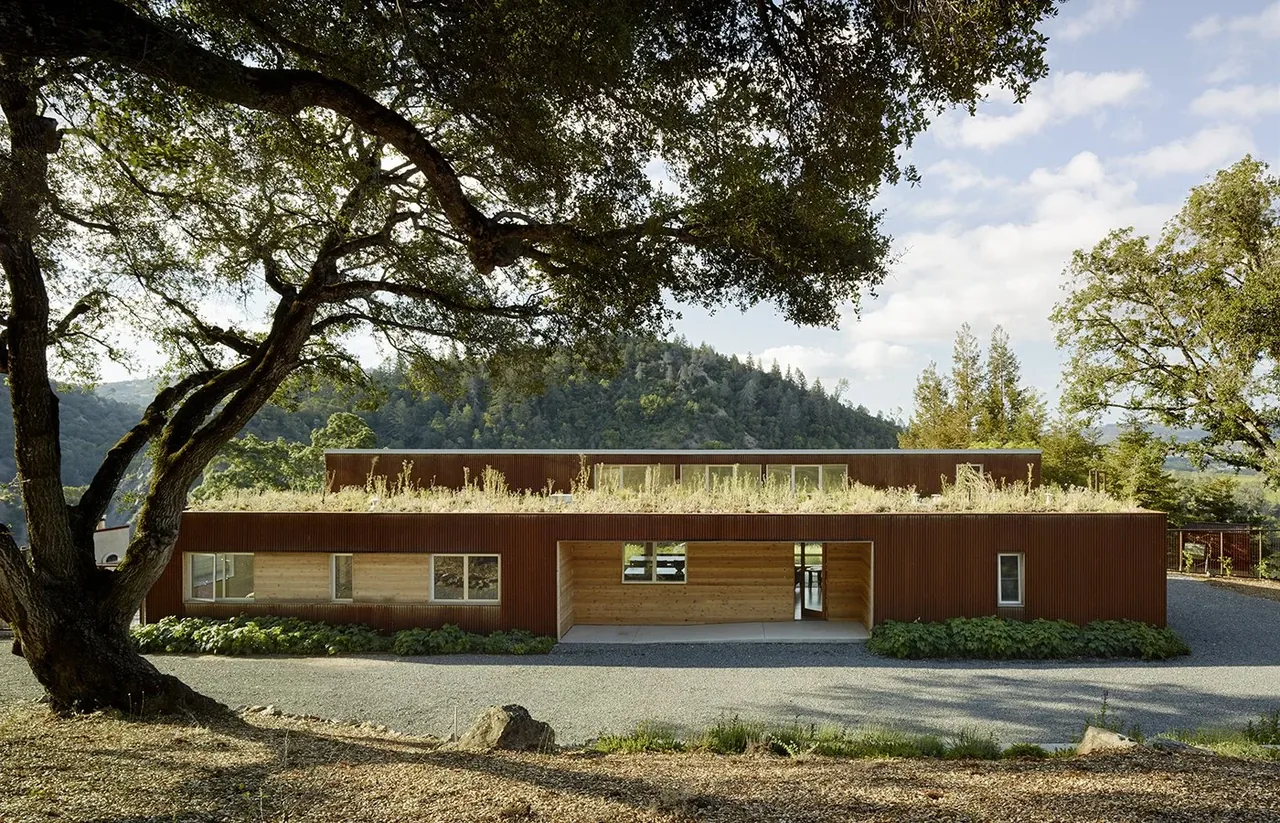 Exterior view of a rectangular modern residence with a living green roof and wood and metal siding.