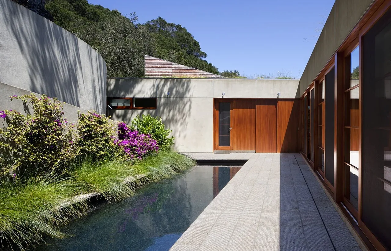 Narrow pool alongside a concrete walkway with plants on one side and wooden doors and windows on the other.