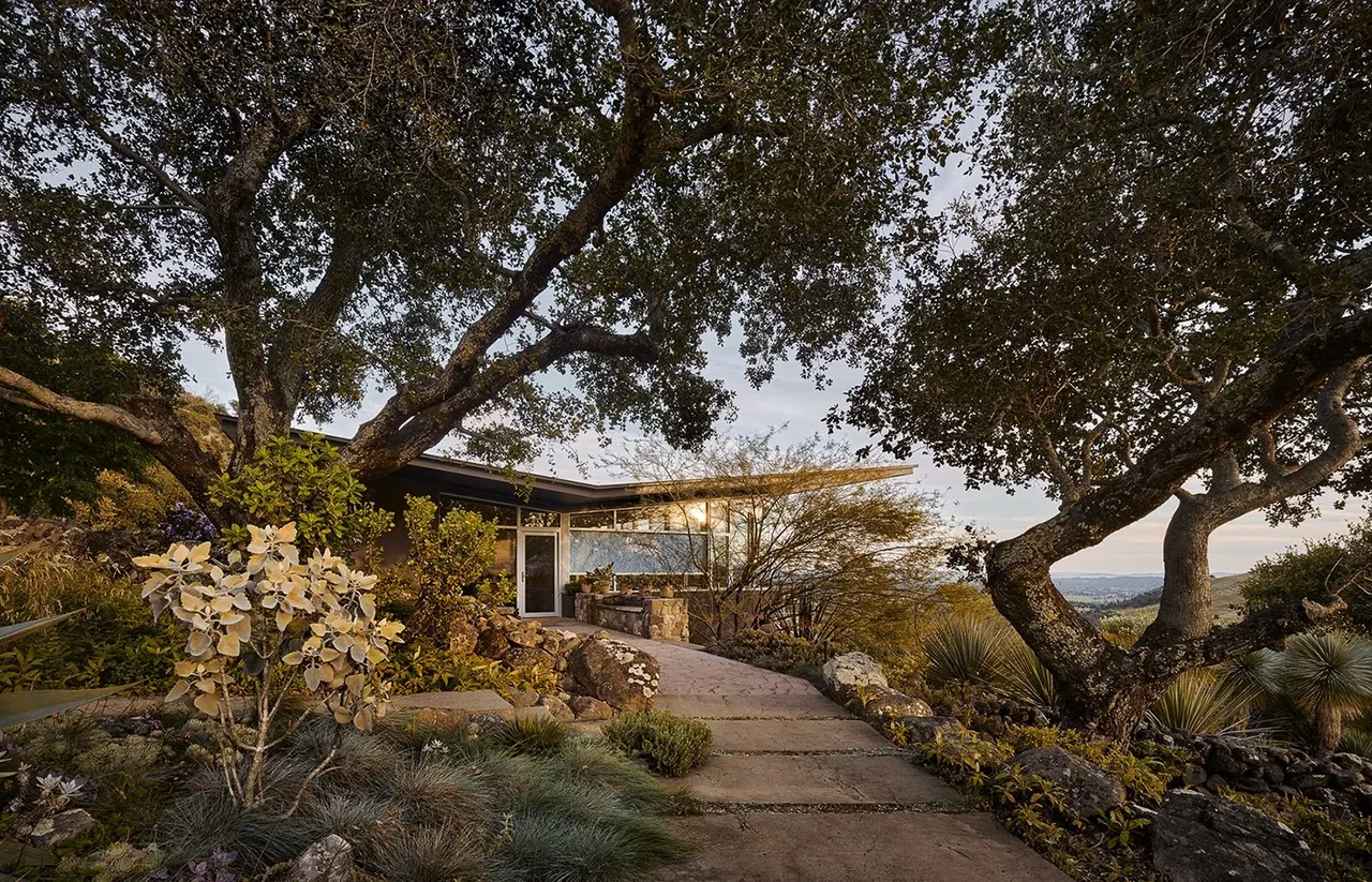 Exterior view of a hillside home with a flat roof partially obscured by large trees and landscaping.